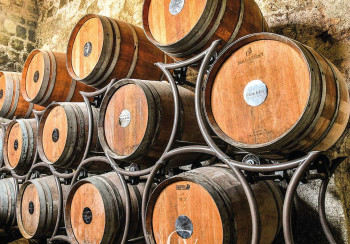 Andar per cantine 2023: percorso Biancolella