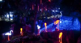 Bosco Incantato 2013