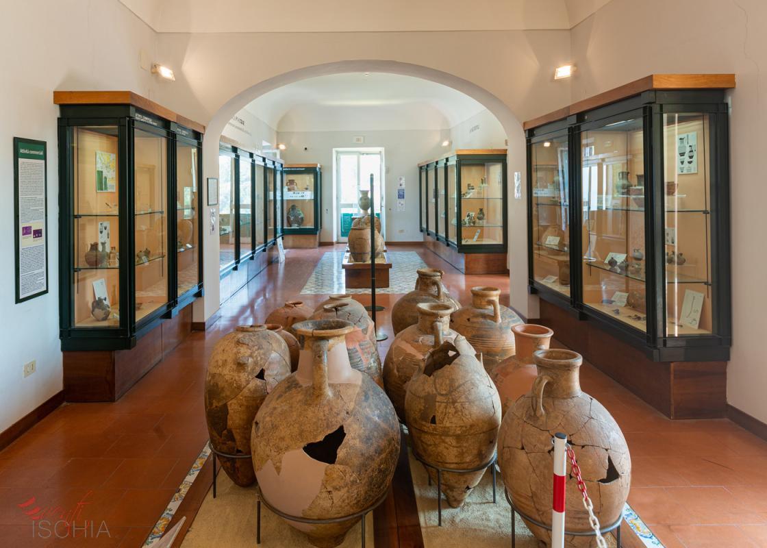 storia museo pithecusae c